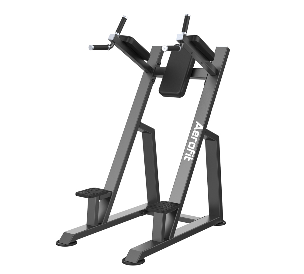 AF 4441 VERTICAL KNEES UP / DIP - (SO)