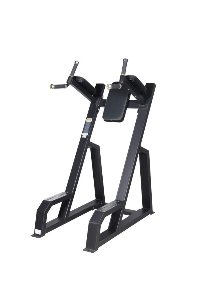 AF 4441 VERTICAL KNEES UP / DIP - (SO)