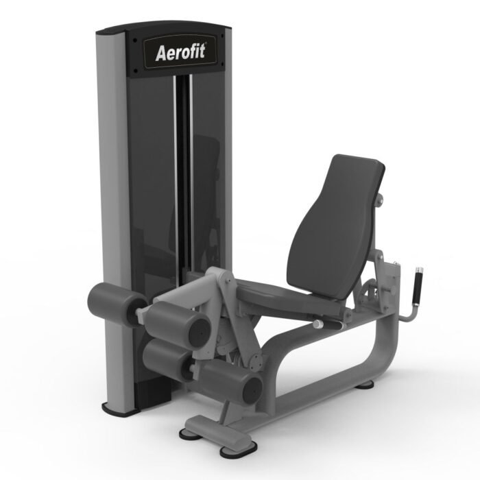 AF 6134 Leg Extension / Lying Curl