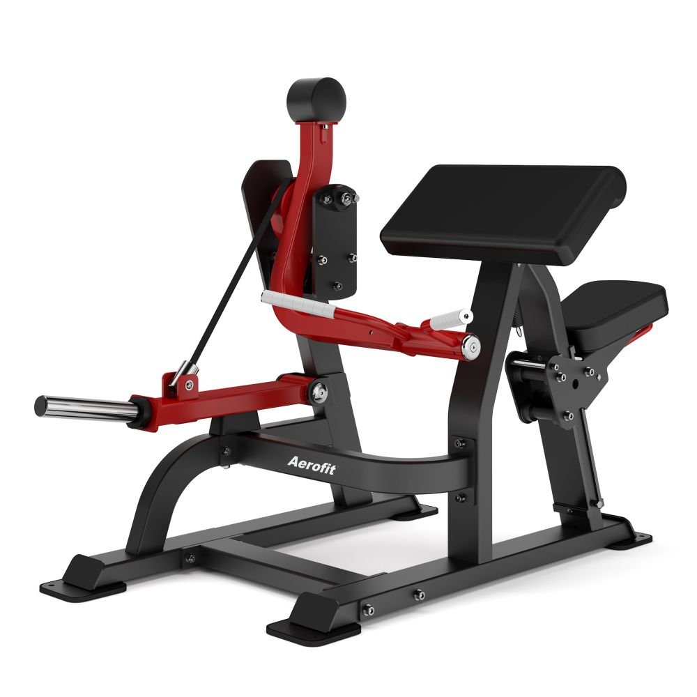 AF 6516 Biceps Curl