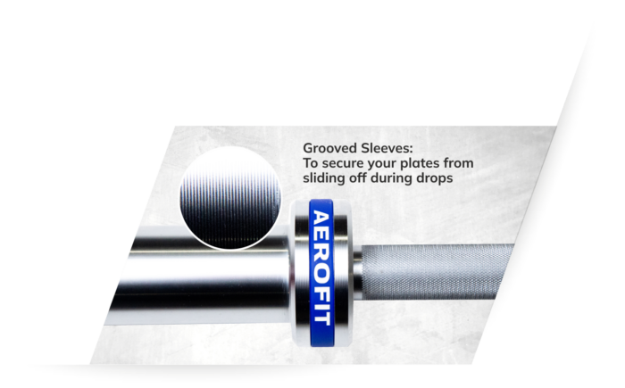 Silver Surface Barbell - Image 2