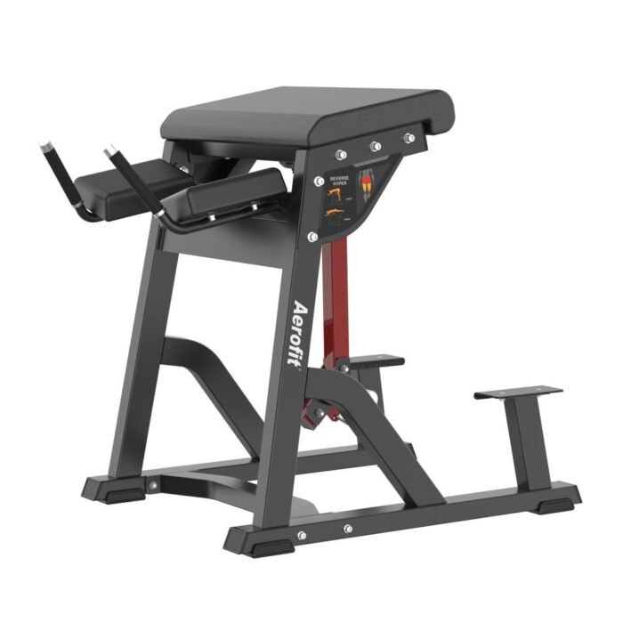 Reverse Hyperextension