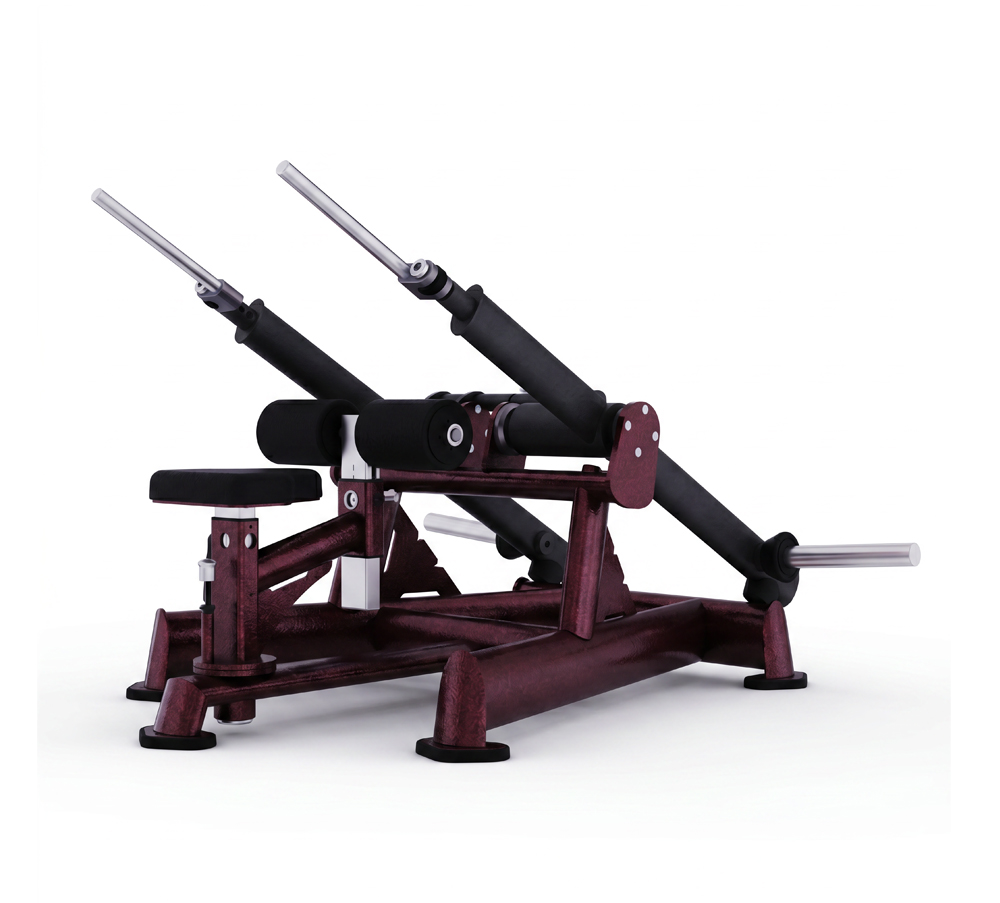 AF 5109 Dips Press Dual System